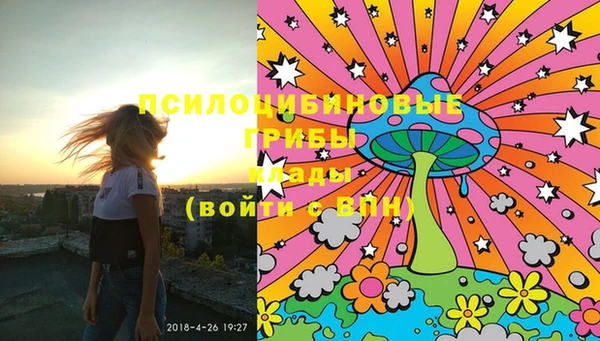 мет Новозыбков