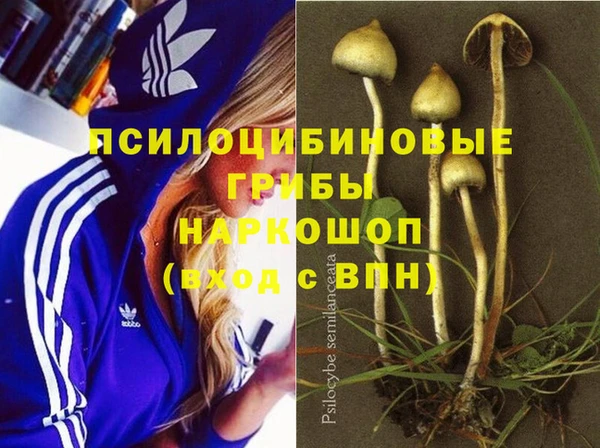 мефедрон Новодвинск