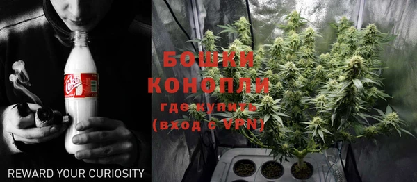 мет Новозыбков