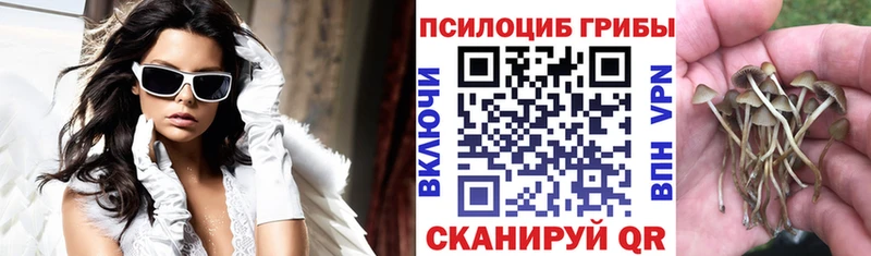 Галлюциногенные грибы ЛСД Любань